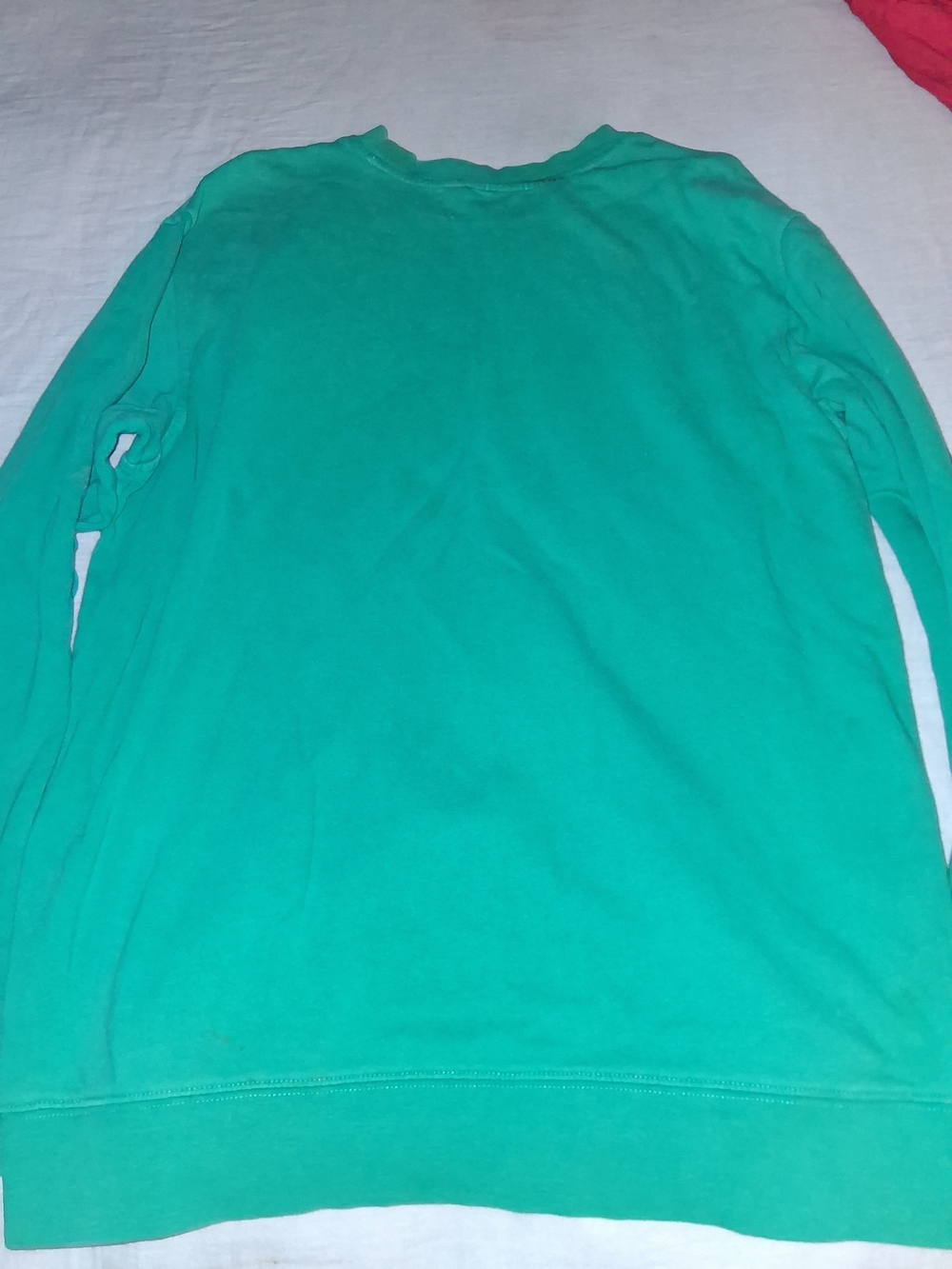 Denim Forum Green Crewneck Sweatshirt with Light Logo - Picture 4 of 4